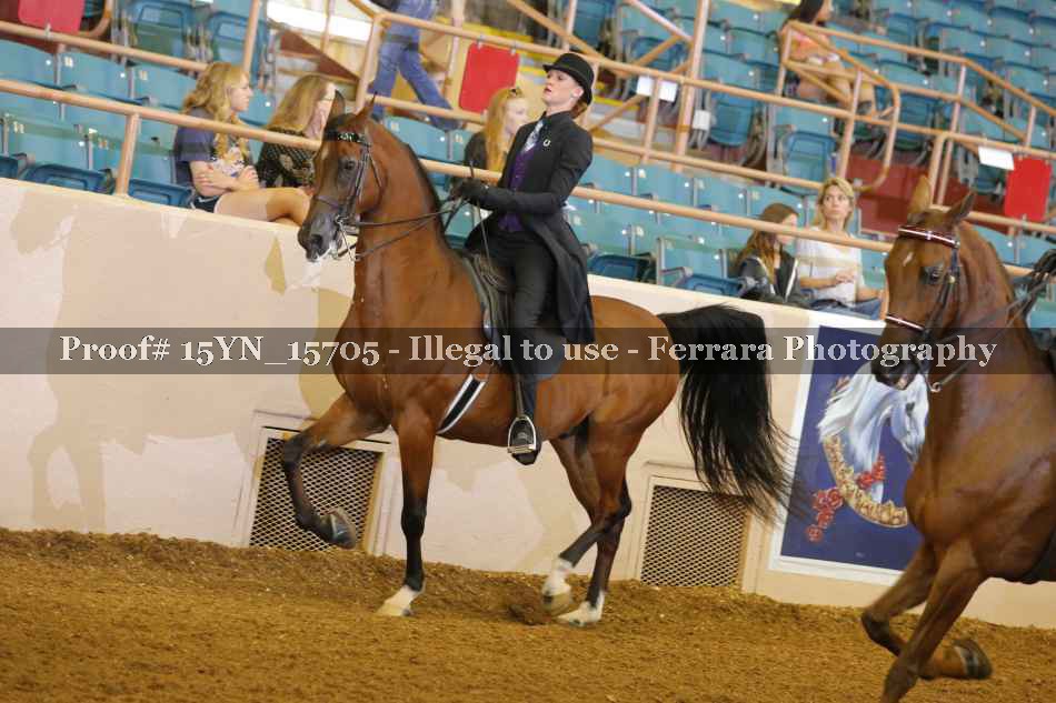 Proof 15YN_15705