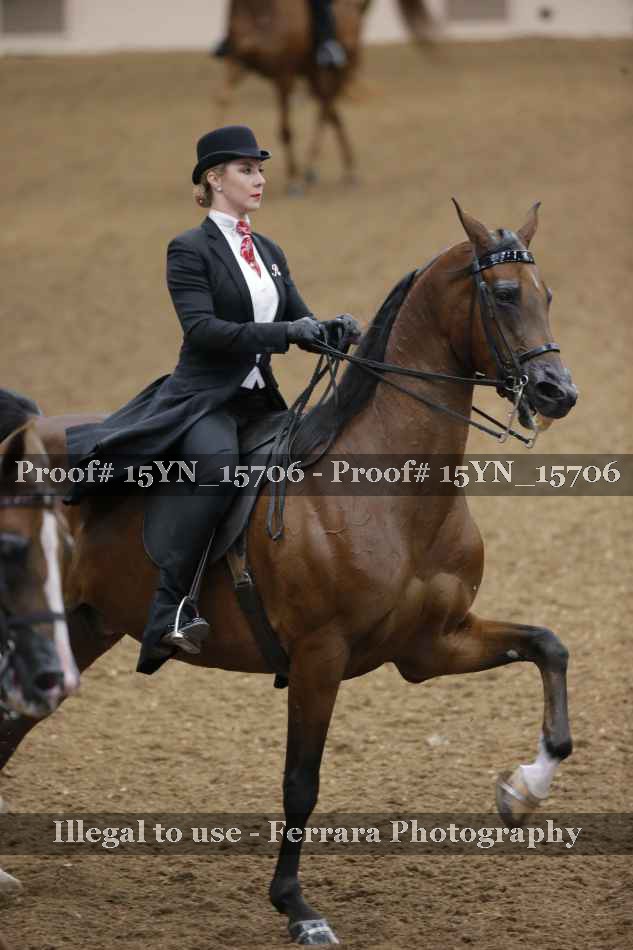 Proof 15YN_15706