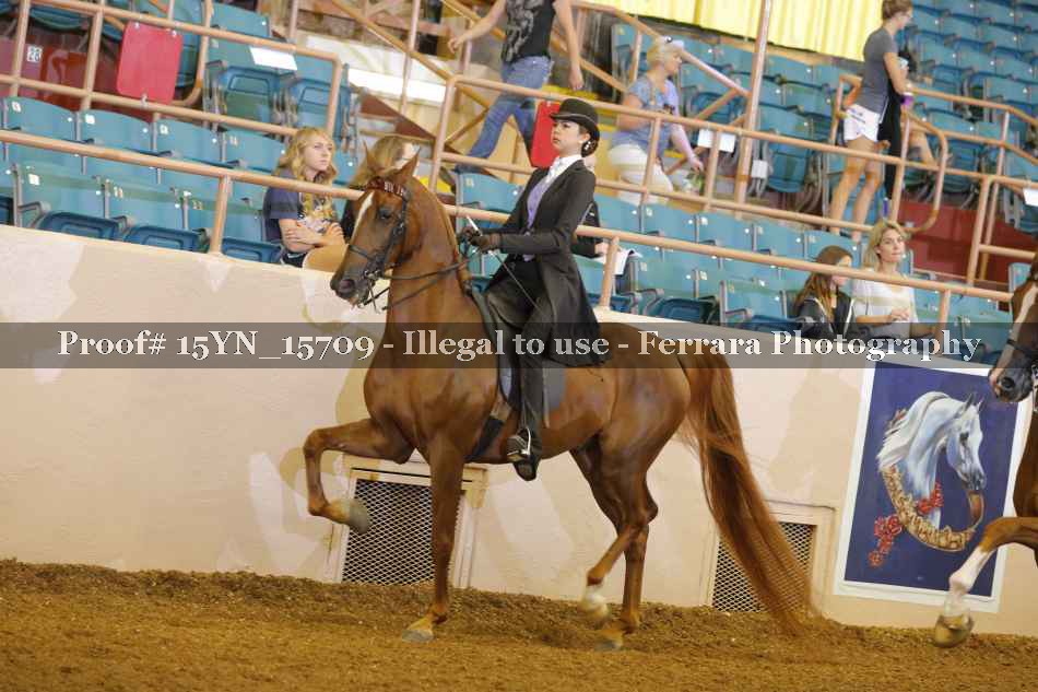 Proof 15YN_15709
