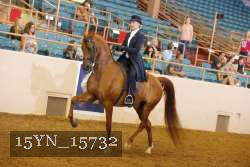 15YN_15732 proof