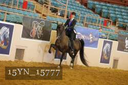 15YN_15777 proof