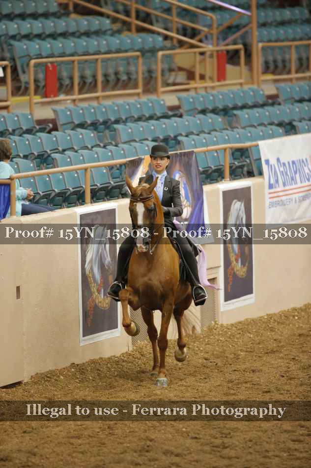 Proof 15YN_15808