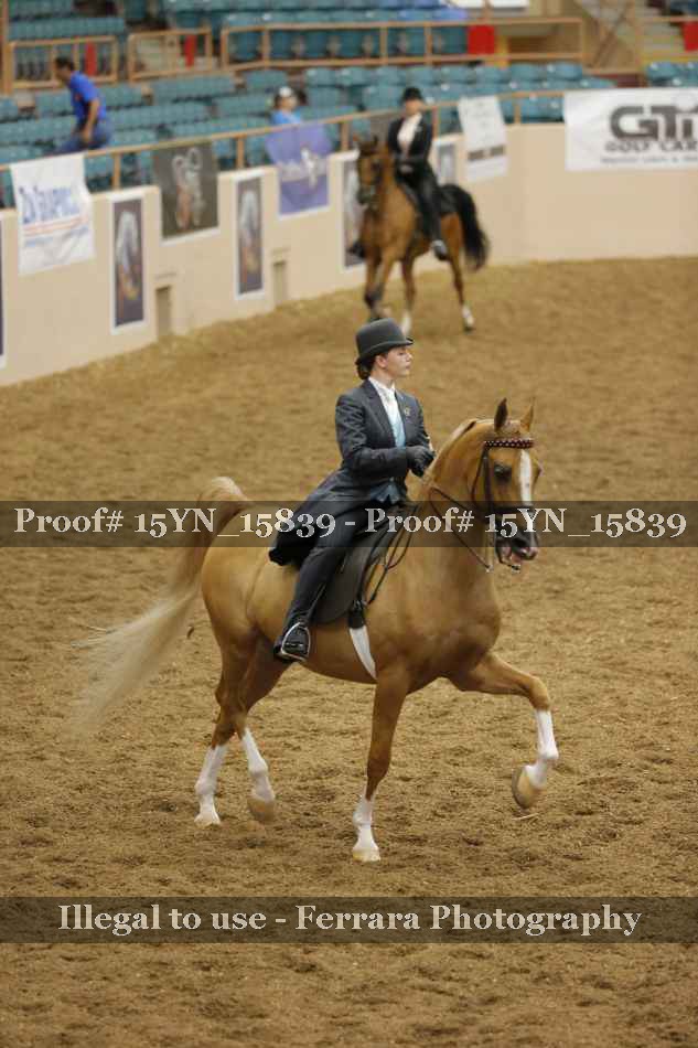 Proof 15YN_15839
