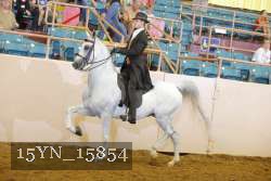 15YN_15854 proof