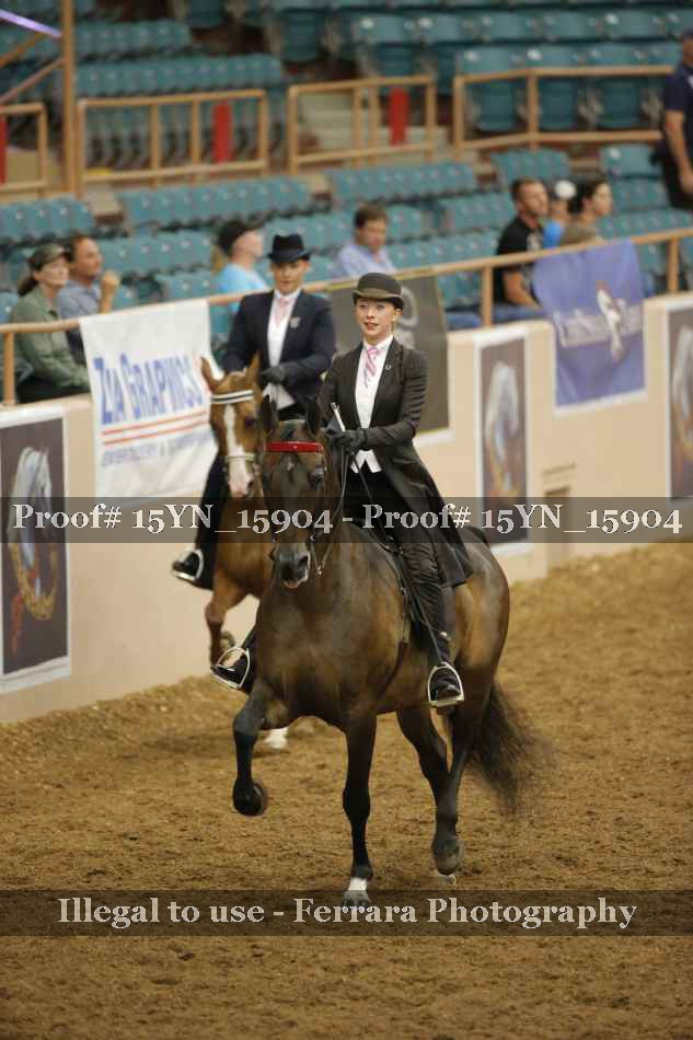 Proof 15YN_15904