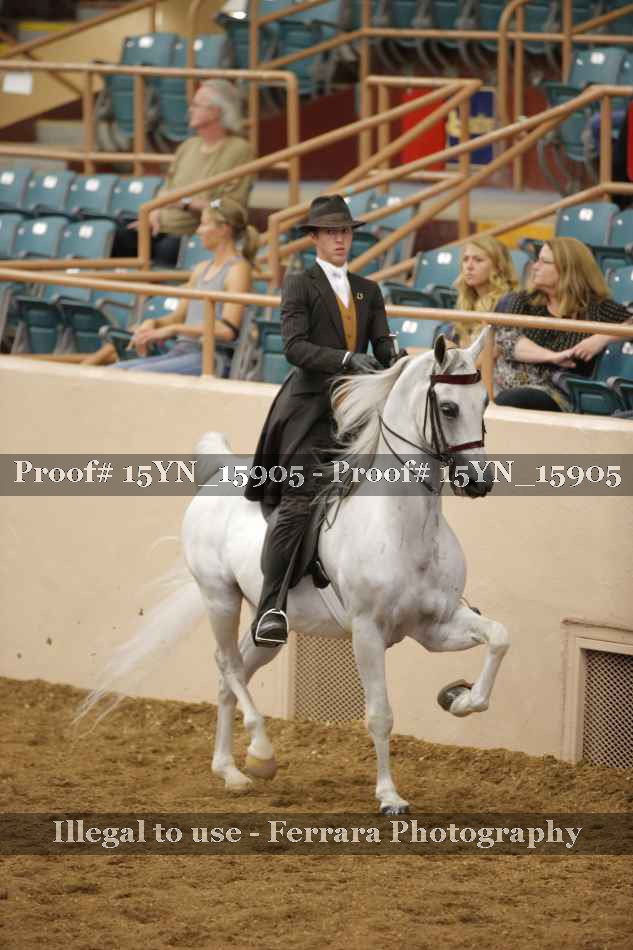 Proof 15YN_15905