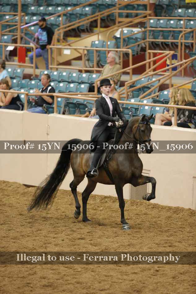 Proof 15YN_15906