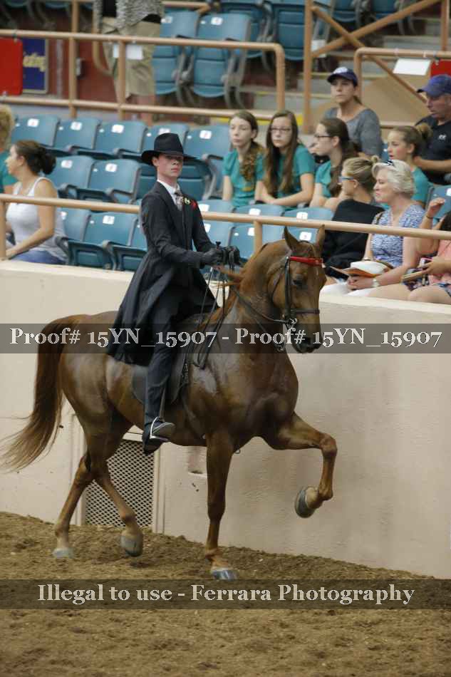 Proof 15YN_15907