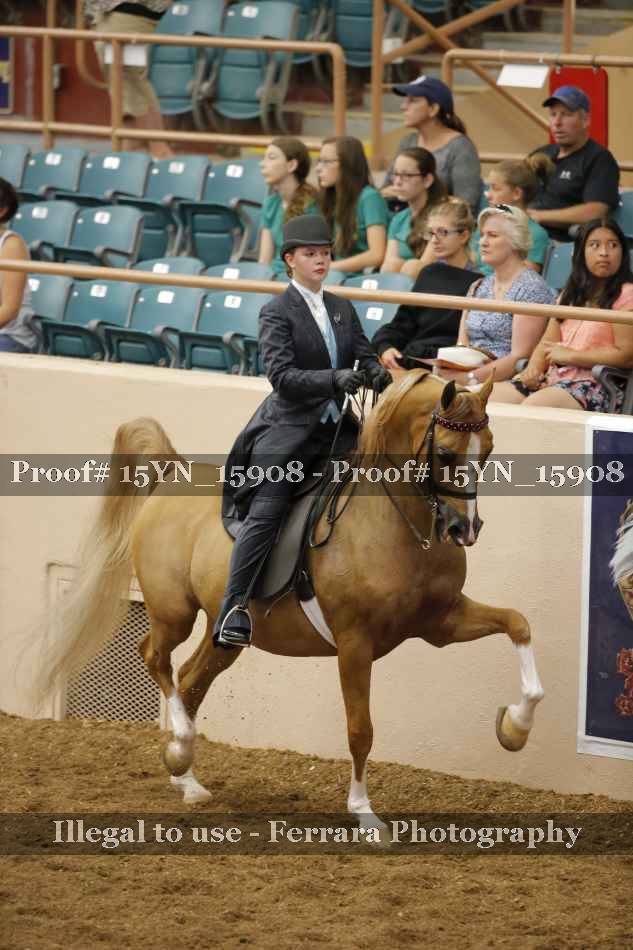 Proof 15YN_15908