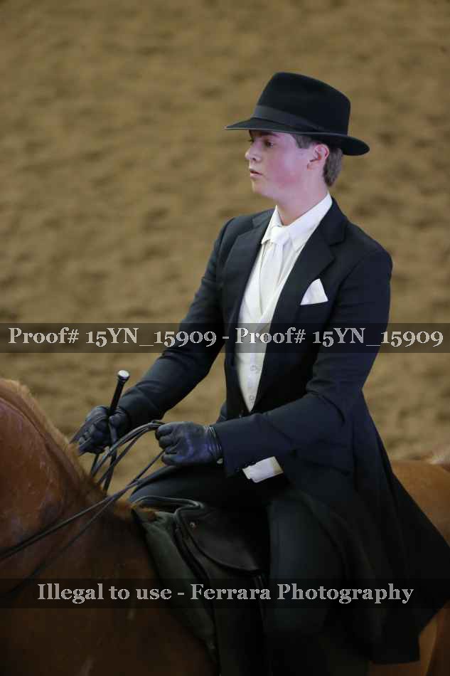 Proof 15YN_15909