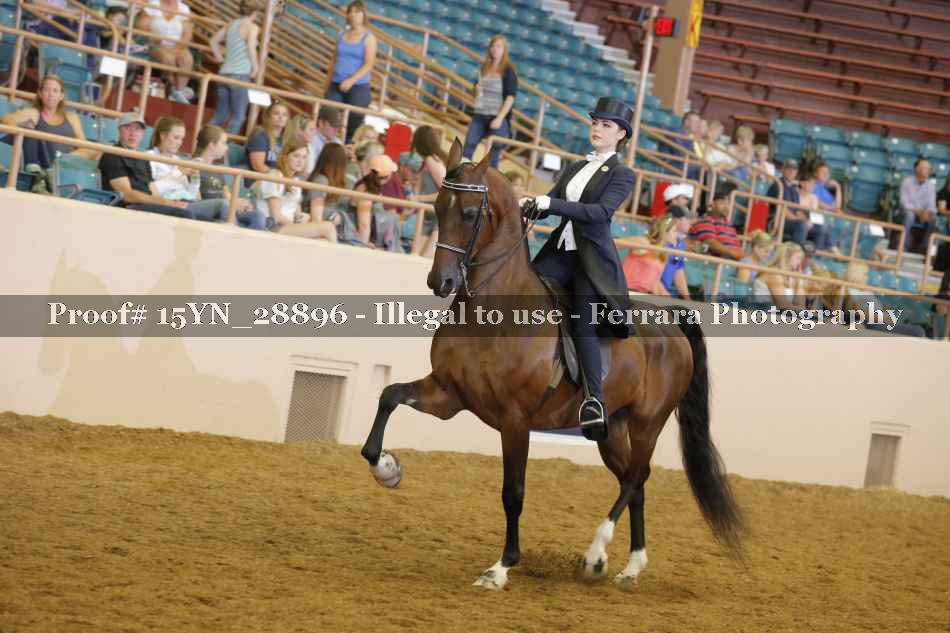 Proof 15YN_28896