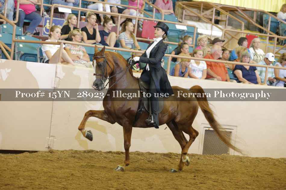 Proof 15YN_28923