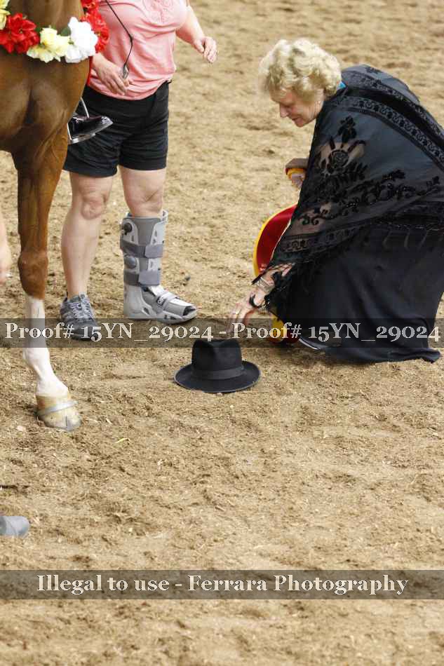 Proof 15YN_29024
