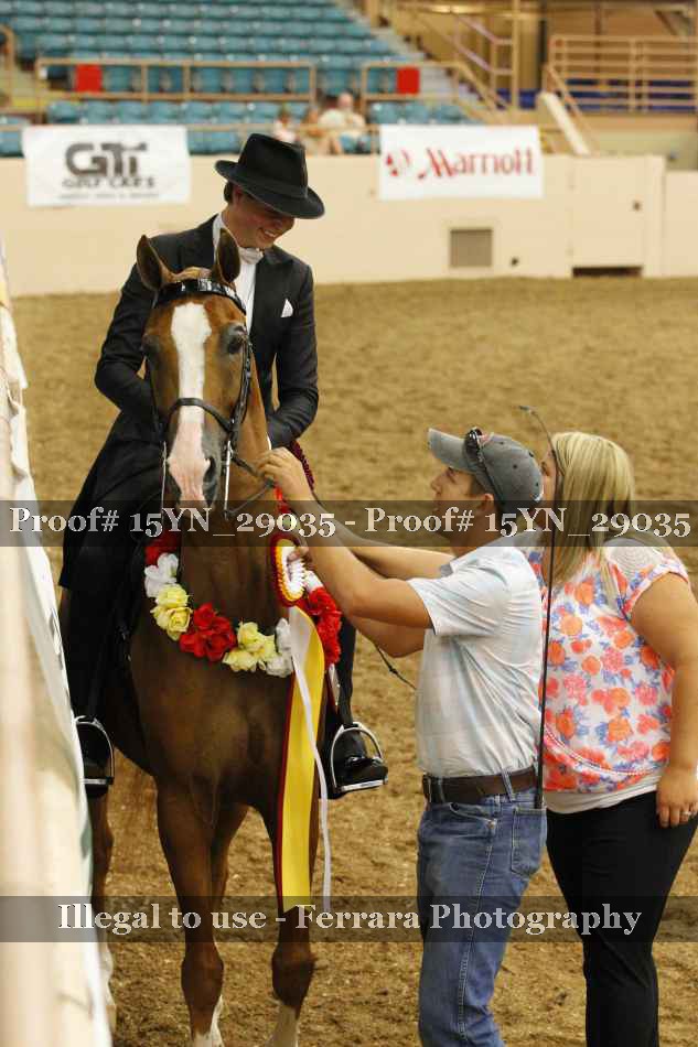 Proof 15YN_29035