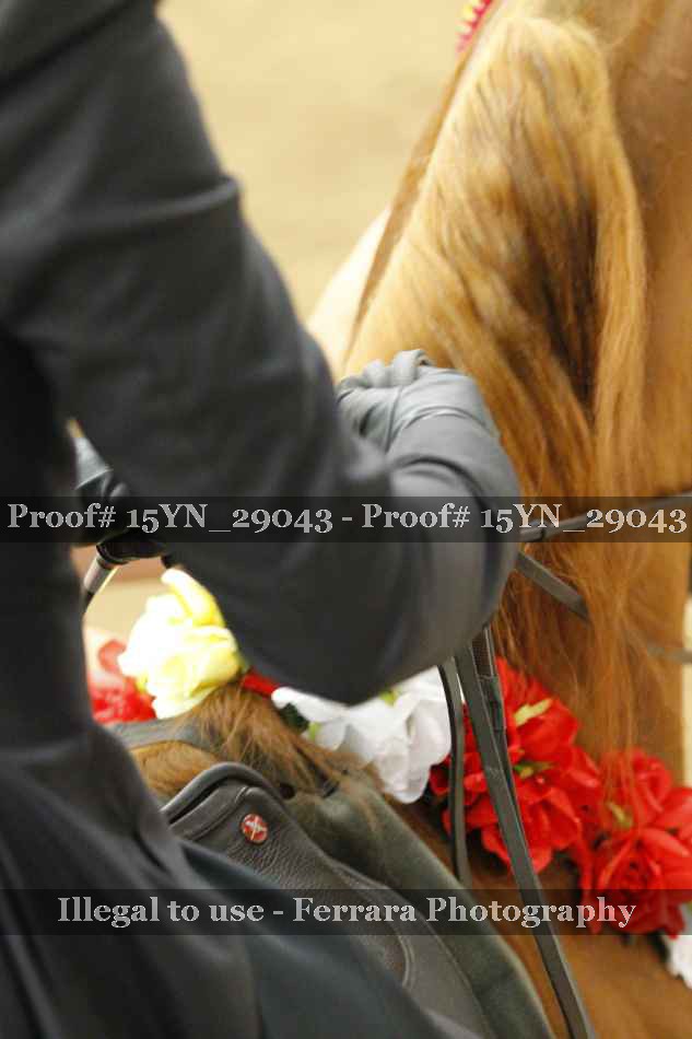 Proof 15YN_29043
