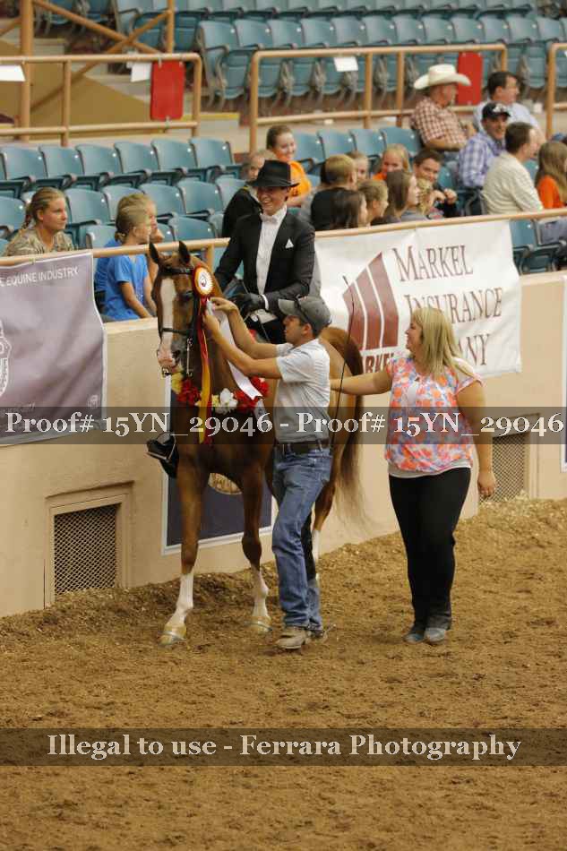 Proof 15YN_29046