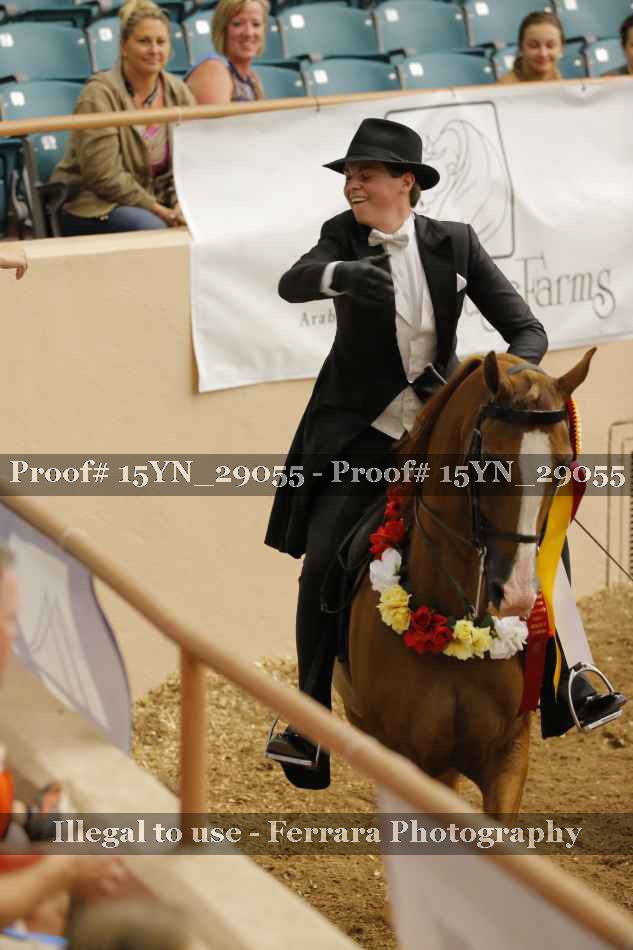 Proof 15YN_29055
