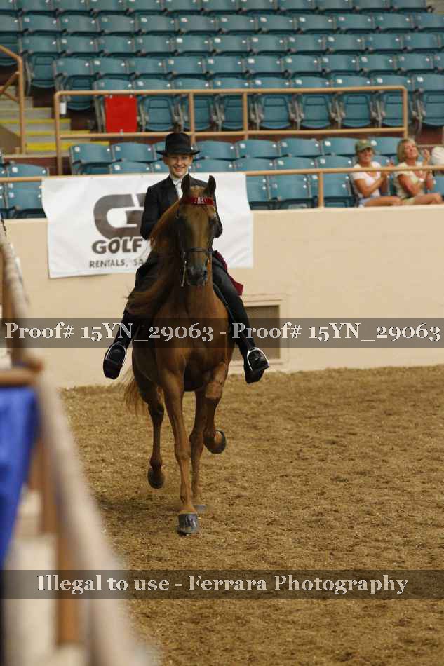 Proof 15YN_29063