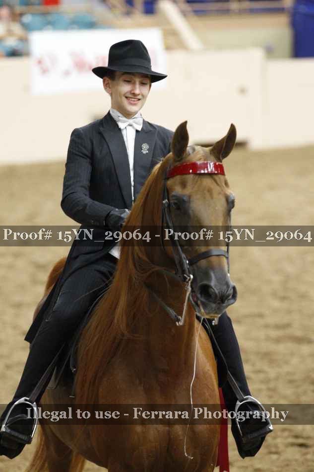 Proof 15YN_29064