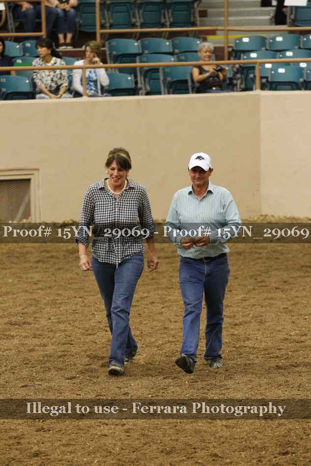 Proof 15YN_29069