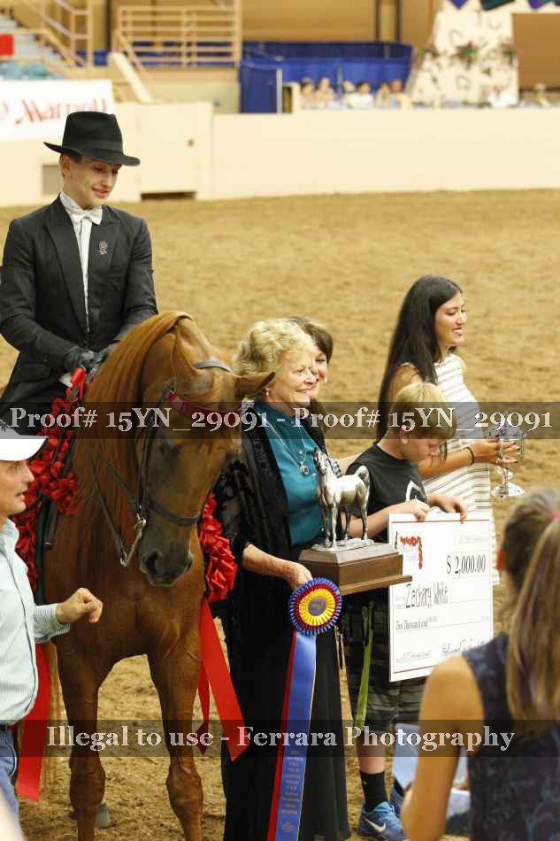 Proof 15YN_29091
