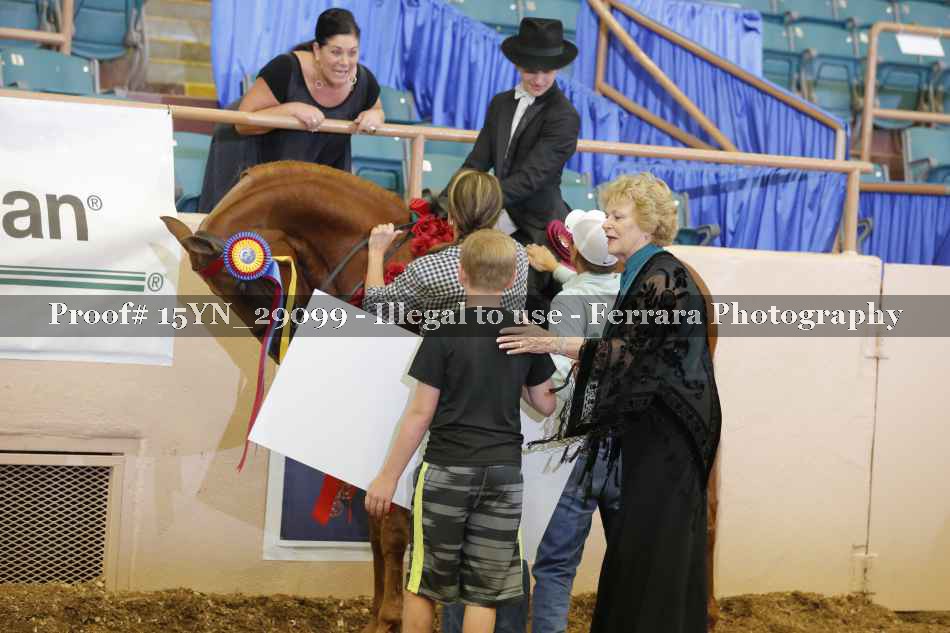 Proof 15YN_29099