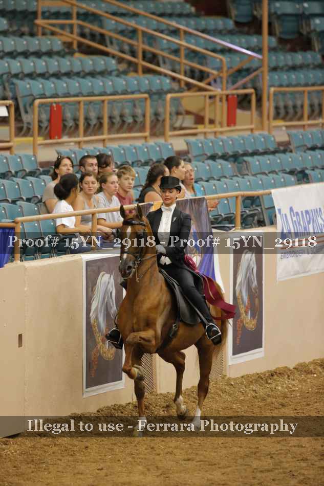 Proof 15YN_29118