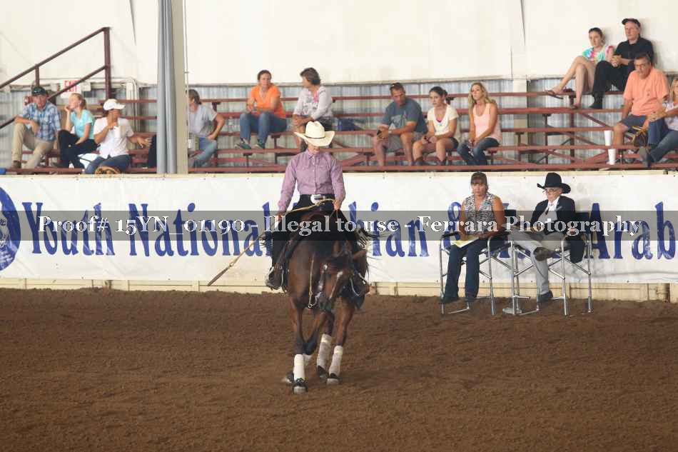 Proof 15YN_01190