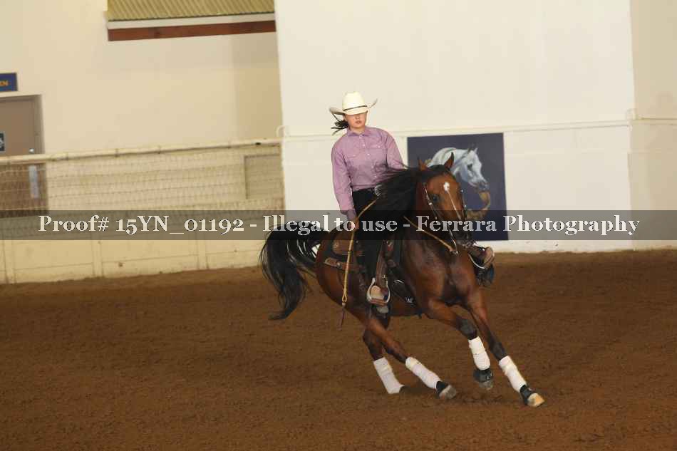 Proof 15YN_01192