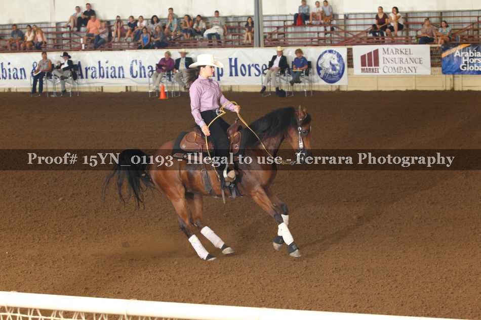 Proof 15YN_01193