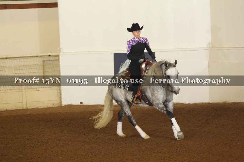 Proof 15YN_01195