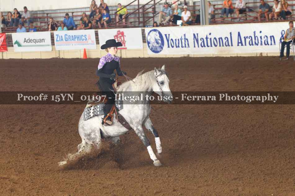 Proof 15YN_01197