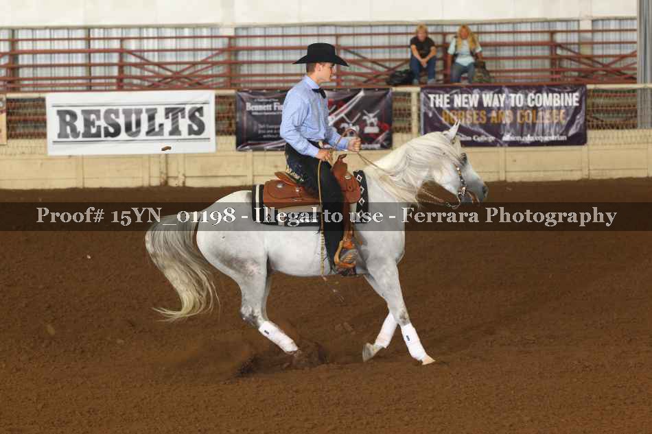 Proof 15YN_01198