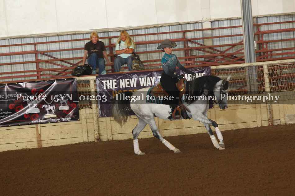Proof 15YN_01203