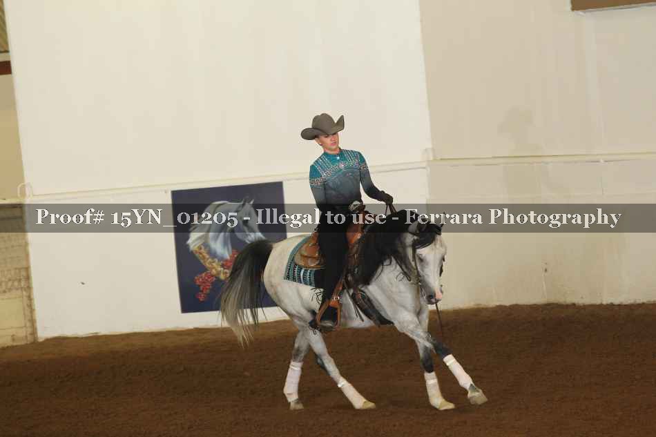 Proof 15YN_01205
