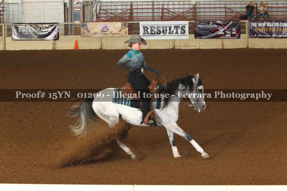 Proof 15YN_01206
