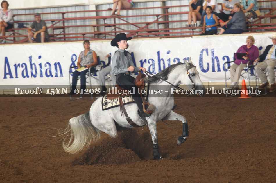 Proof 15YN_01208