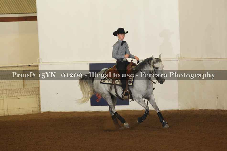 Proof 15YN_01209
