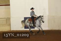 15YN_01209 proof