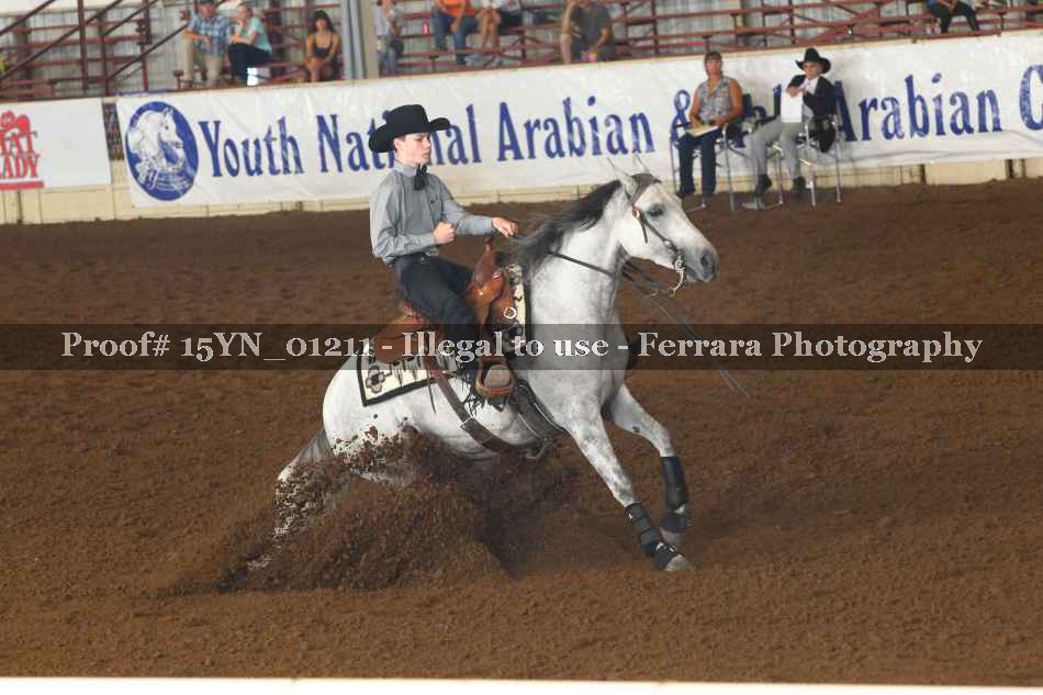 Proof 15YN_01211