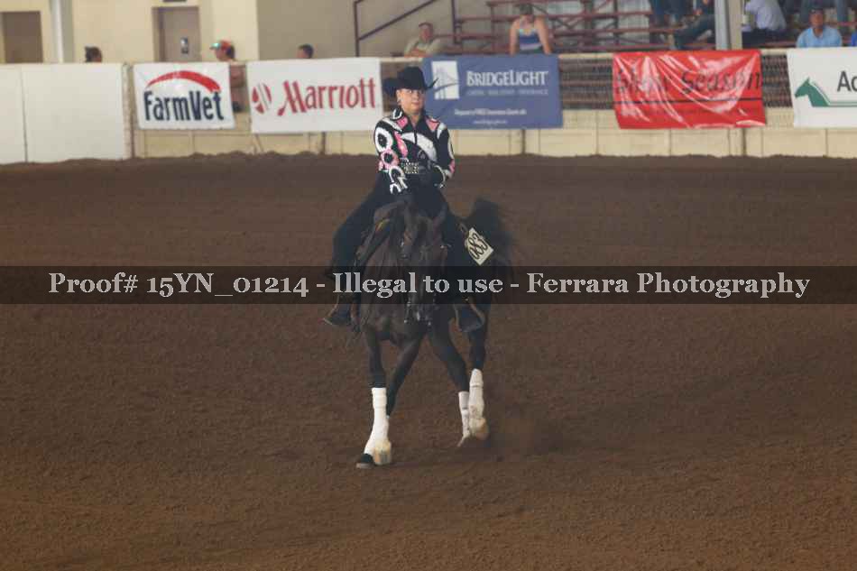 Proof 15YN_01214
