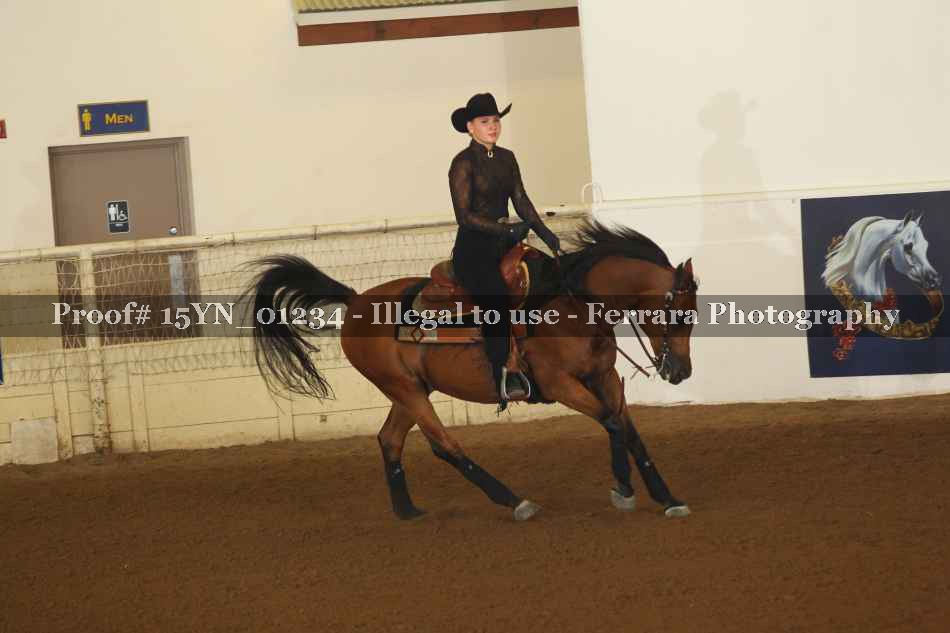 Proof 15YN_01234
