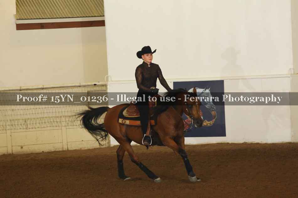 Proof 15YN_01236