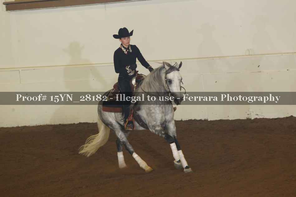 Proof 15YN_28182