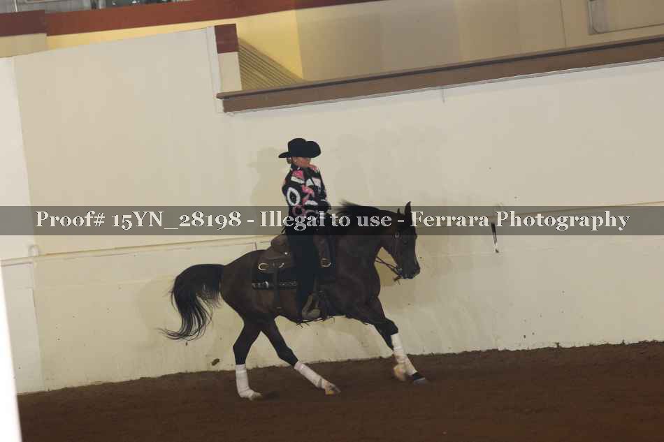 Proof 15YN_28198
