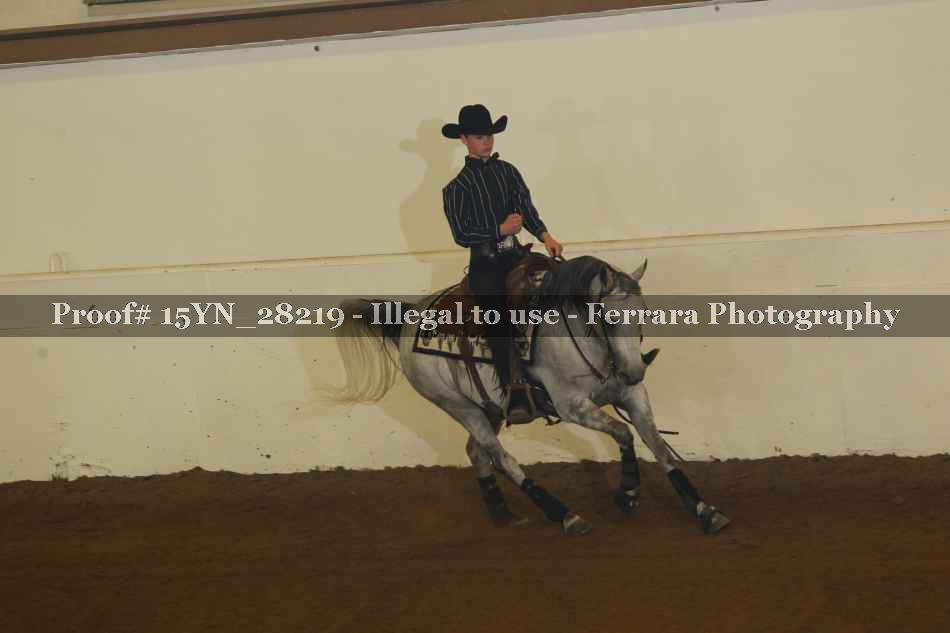 Proof 15YN_28219