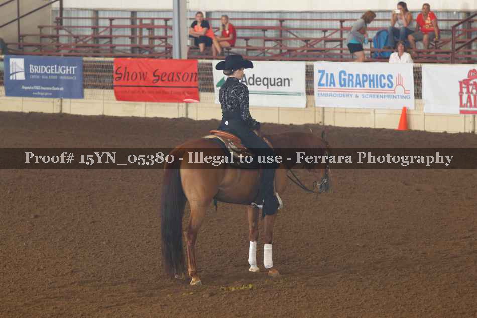 Proof 15YN_05380