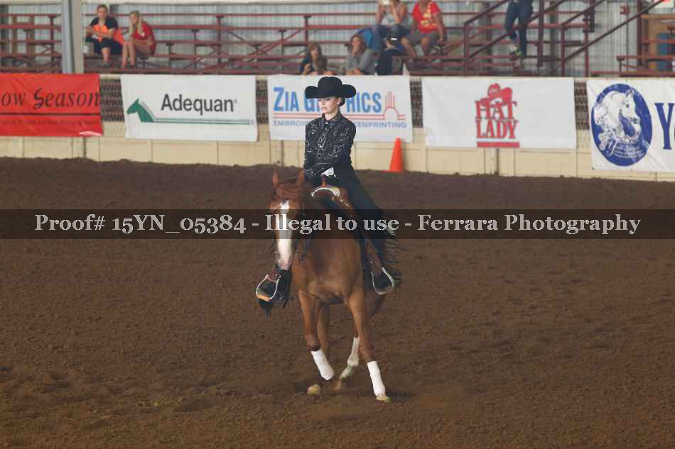 Proof 15YN_05384