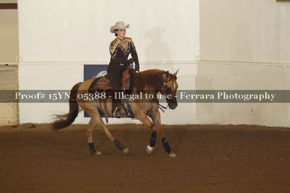 Proof 15YN_05388