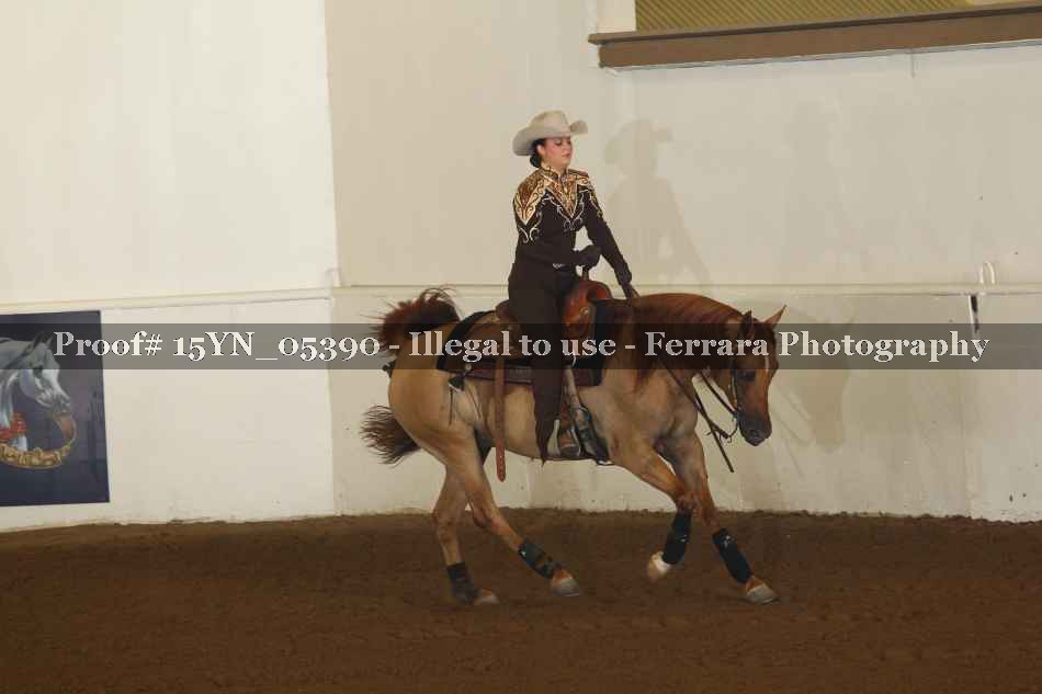 Proof 15YN_05390